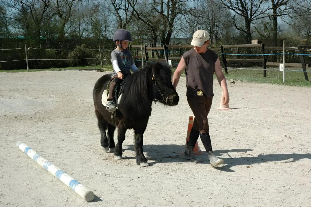 Cours d'équitation près de Descartes