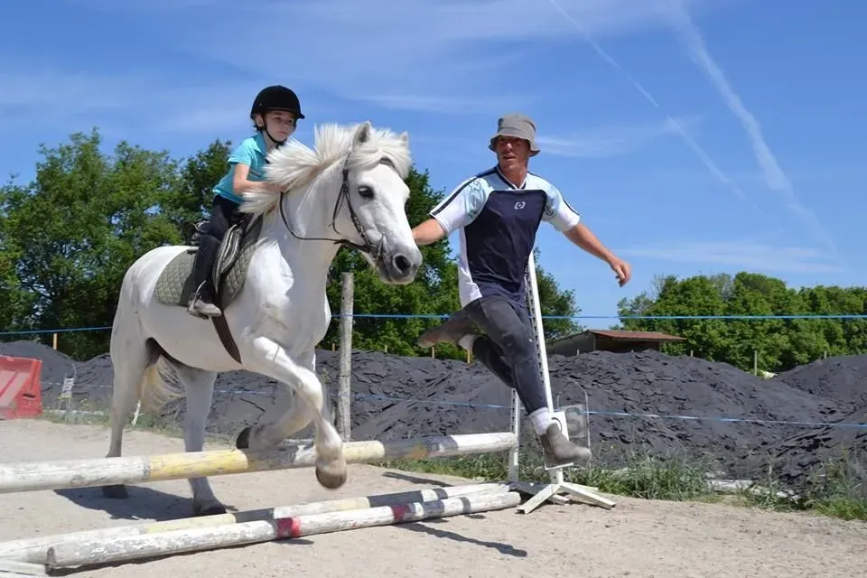 Baby poney près de Descartes