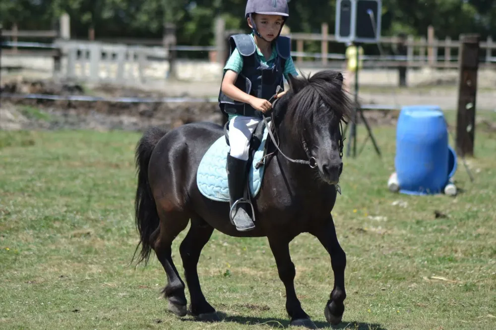 poney-noir