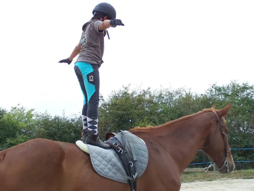 Stage d'équitation près de Descartes
