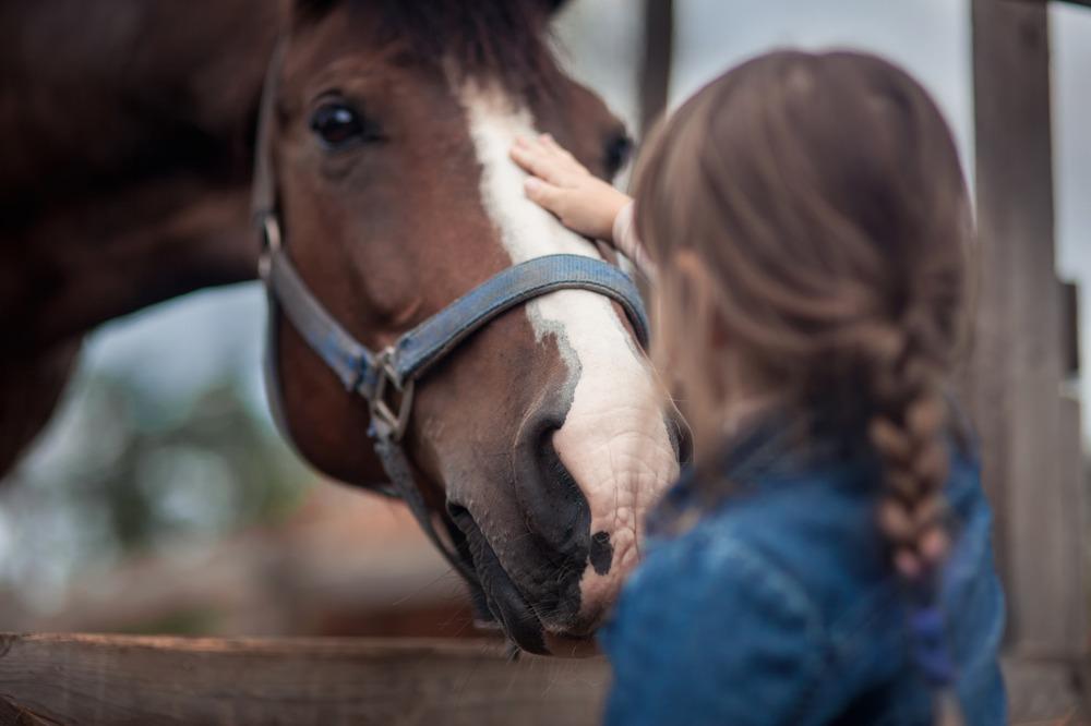Equiloisir - Cours d'équitation pour tous (3)