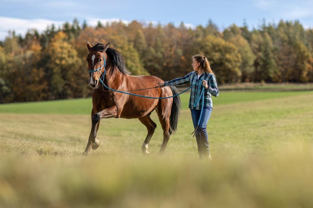 EQUILOISIR - Débourrage